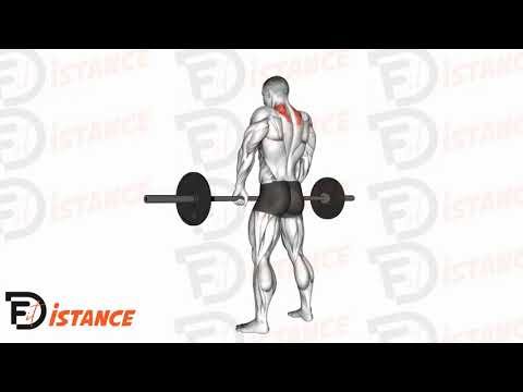 Shrugs à la barre avant - Exercice Shrugs à la barre avant en vidéo