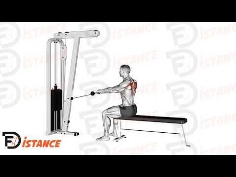 Shrugs horizontaux à la poulie - Exercice Shrugs horizontaux à la poulie en vidéo