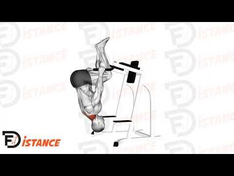 Shrug inversé sur barres parallèles - Exercice Shrug inversé sur barres parallèles en vidéo