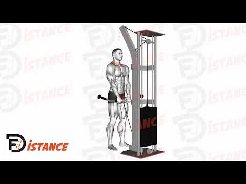 Shrugs à la poulie basse - Exercice Shrugs à la poulie basse en vidéo