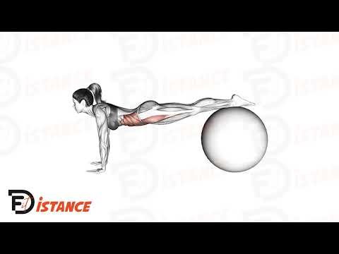 Planche avec les pieds sur un swiss ball - Exercice Planche avec les pieds sur un swiss ball en vidéo