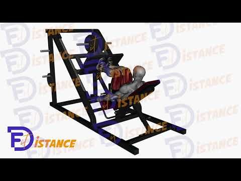 Presse à cuisse 45 degrés - Exercice Presse à cuisse 45 degrés en vidéo
