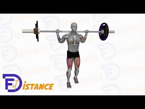 Fentes inversées à la barre - Exercice Fentes inversées à la barre en vidéo