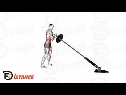 Landmine 180 - Exercice Landmine 180 en vidéo