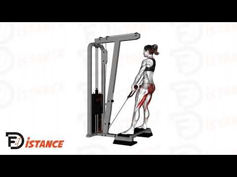 Deadlifts à la poulie - Exercice Deadlifts à la poulie en vidéo