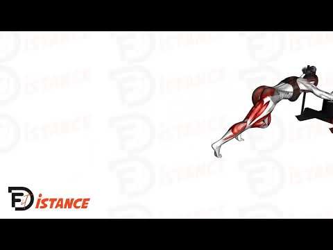 Poussée de traîneau (sled machine) - Exercice Poussée de traîneau (sled machine) en vidéo