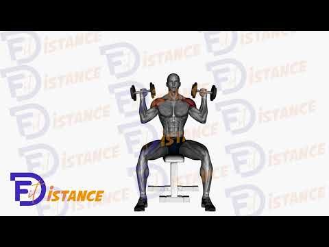 Développé assis avec haltères - Exercice Développé assis avec haltères en vidéo