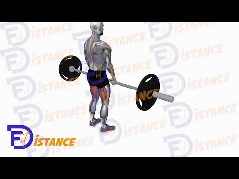Soulevé de terre pieds serrés avec barre - Exercice Soulevé de terre pieds serrés avec barre en vidéo