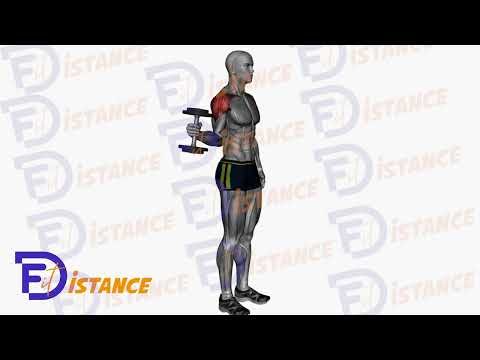 Rotation externe avec haltères - Exercice Rotation externe avec haltères en vidéo