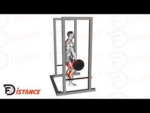 Soulevé de terre au rack (Rack Pulls) - Exercice Soulevé de terre au rack (Rack Pulls) en vidéo