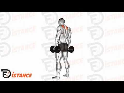 Shrugs avec haltères - Exercice Shrugs avec haltères en vidéo