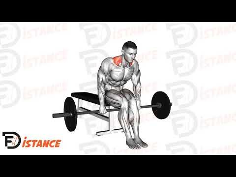Shrugs à la barre assis sur un banc - Exercice Shrugs à la barre assis sur un banc en vidéo