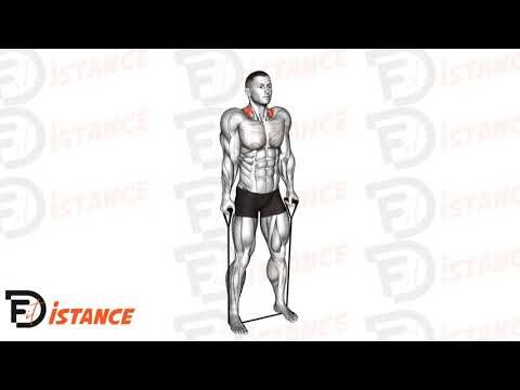 Shrugs aux élastiques - Exercice Shrugs aux élastiques en vidéo