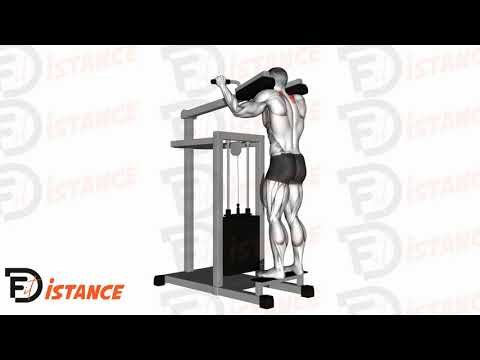 Shrugs à la machine à mollets - Exercice Shrugs à la machine à mollets en vidéo