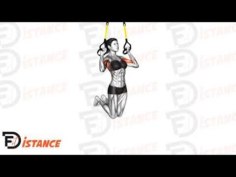 Tractions TRX - Exercice Tractions TRX en vidéo