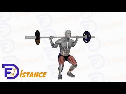 Squat avec barre - Exercice Squat avec barre en vidéo