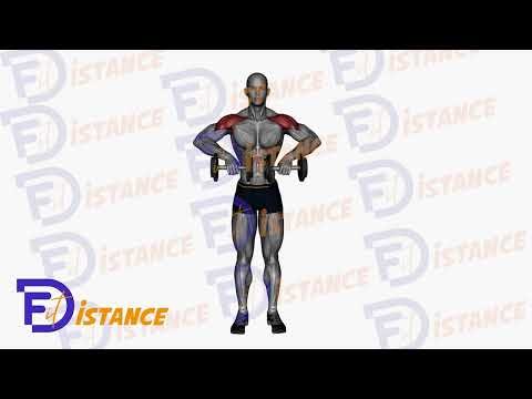 Tirage menton avec haltères - Exercice Tirage menton avec haltères en vidéo