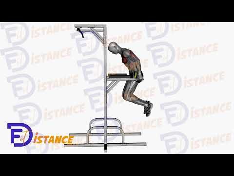 Dips - Exercice Dips en vidéo
