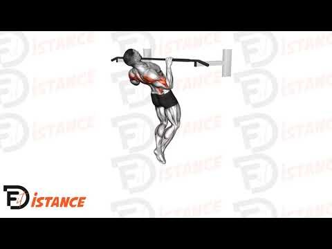 Tractions verticales Rocky - Exercice Tractions verticales Rocky en vidéo