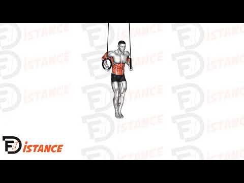 Muscle Up - Exercice Muscle Up en vidéo