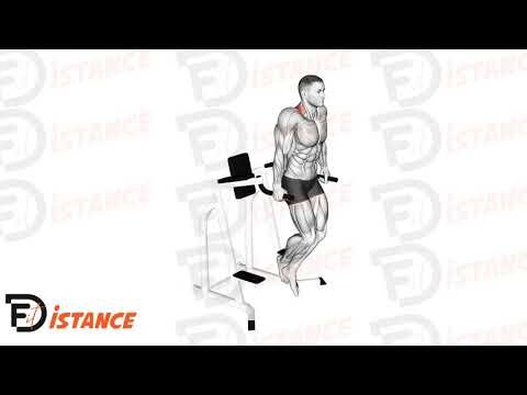 Shrugs sur barres parallèles - Exercice Shrugs sur barres parallèles en vidéo