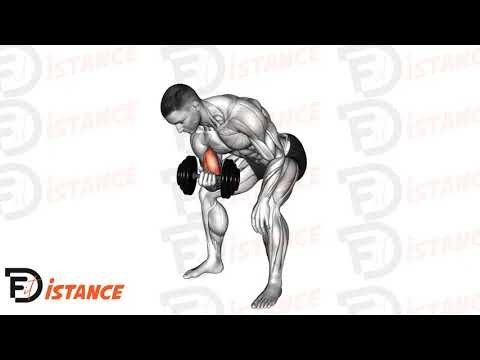 Curl concentré bras sur cuisse avec haltère - Exercice Curl concentré bras sur cuisse avec haltère en vidéo