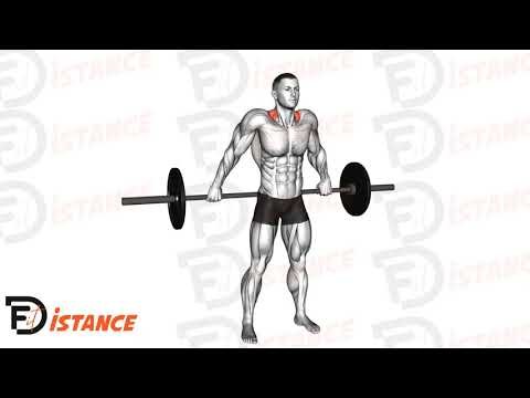 Shrugs prise large à la barre - Exercice Shrugs prise large à la barre en vidéo
