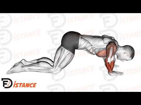 Pompes gainage à genoux - Exercice Pompes gainage à genoux en vidéo