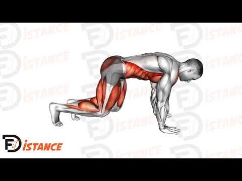 Kickback de l'ours (bear plank kickback) - Exercice Kickback de l'ours (bear plank kickback) en vidéo
