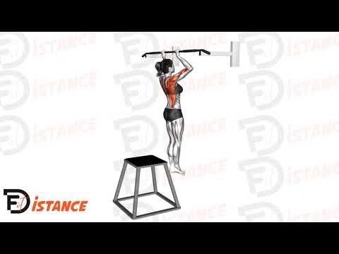 Tractions négatives - Exercice Tractions négatives en vidéo