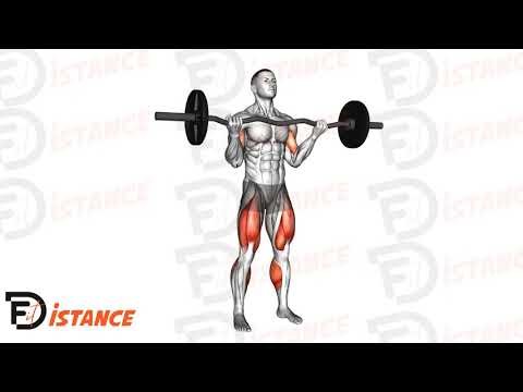 Soulevé de terre avec barre EZ et curl biceps - Exercice Soulevé de terre avec barre EZ et curl biceps en vidéo