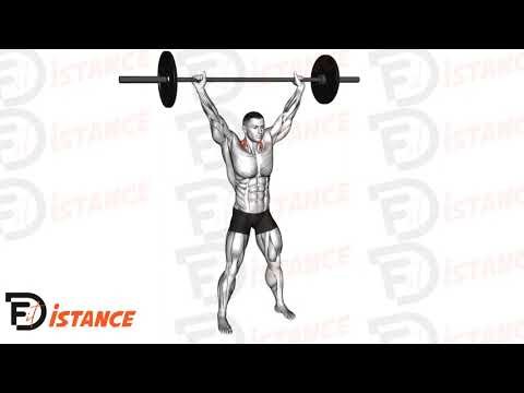 Overhead Shrugs à la barre - Exercice Overhead Shrugs à la barre en vidéo