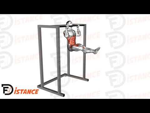 Tractions L-sit - Exercice Tractions L-sit en vidéo