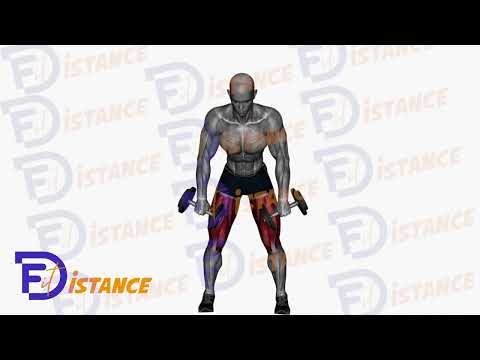 Soulevé de terre roumain avec haltères - Exercice Soulevé de terre roumain avec haltères en vidéo