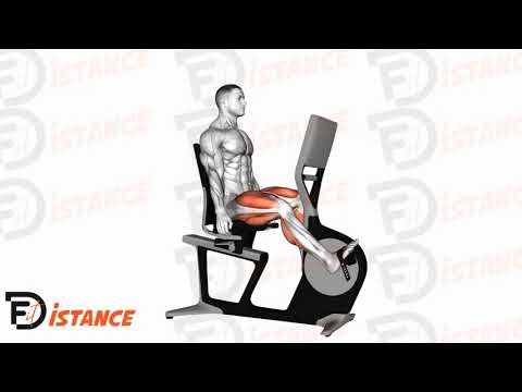Vélo allongé - Exercice Vélo allongé en vidéo