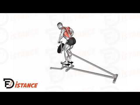 Rowing/Tirage en T avec barre - Exercice Rowing/Tirage en T avec barre en vidéo