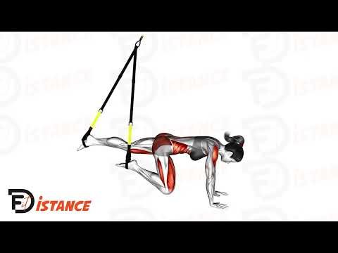 Mountain Climbers au TRX - Exercice Mountain Climbers au TRX en vidéo