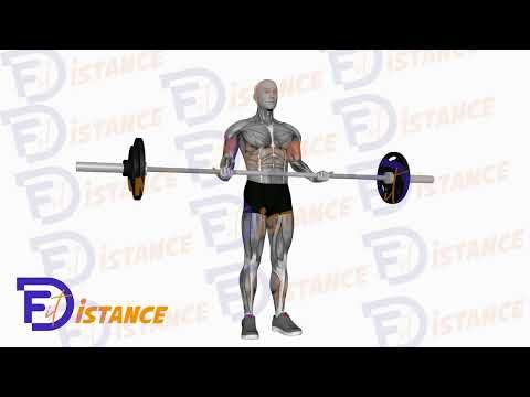 Curl barre droite - Exercice Curl barre droite en vidéo