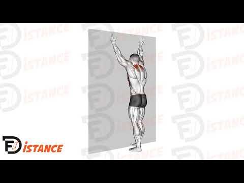 Spider Crawls - Exercice Spider Crawls en vidéo