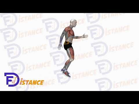 Fentes sautées alternées - Exercice Fentes sautées alternées en vidéo