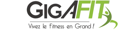 Gigafit
