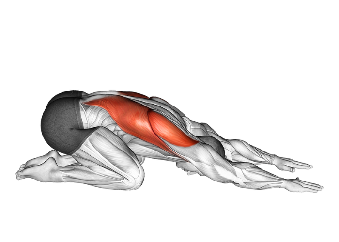 Homme en 3D à genoux, les bras tendus devant lui, s'étirant le dos, illustrant un exercice d'étirement pour la colonne vertébrale et les muscles du dos.