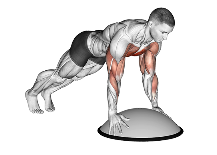 Homme en 3D réalisant un exercice de gainage avec les mains sur un Bosu, illustrant un exercice de renforcement des abdominaux et de l'équilibre