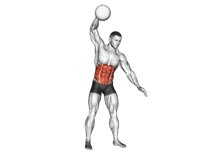 Homme en 3D réalisant un lancer de medicine ball, illustrant un exercice de puissance et de renforcement musculaire