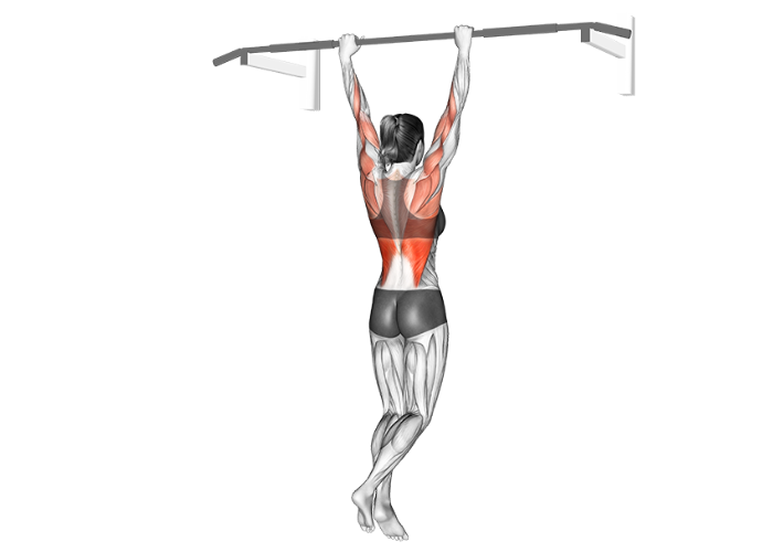 Femme en 3D suspendue à une barre, tentant de réaliser une traction, illustrant un exercice de musculation pour le dos et les bras