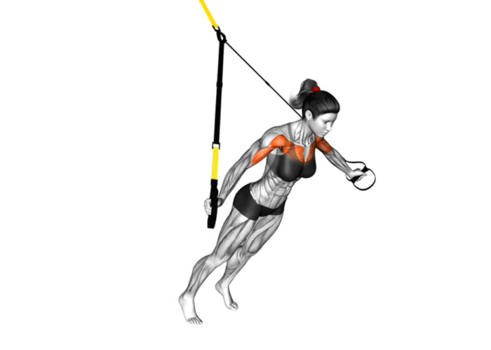 Homme en 3D réalisant des exercices avec le TRX, illustrant un exercice de musculation pour le haut du corps