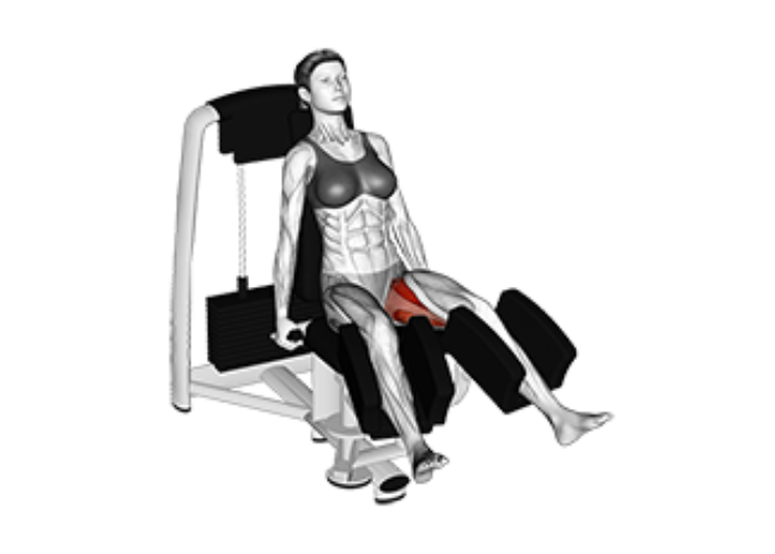 Femme en 3D travaillant ses adducteurs à la machine en position assise, illustrant un exercice de renforcement des muscles de l'intérieur des cuisses.
