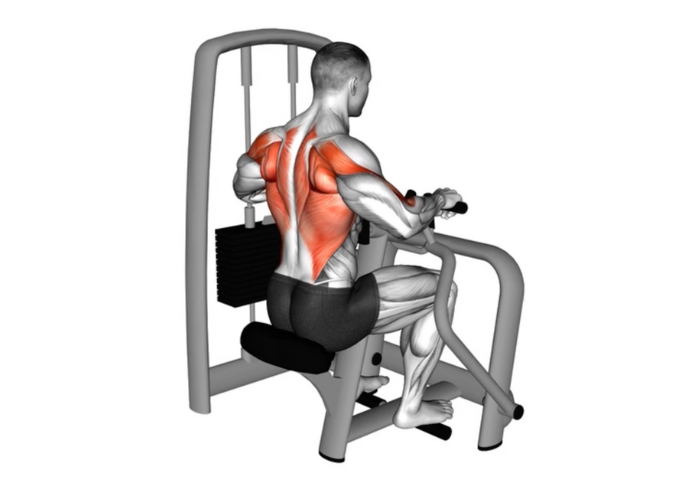 Homme en 3D réalisant un rowing horizontal à la machine, illustrant un exercice de musculation pour le dos.