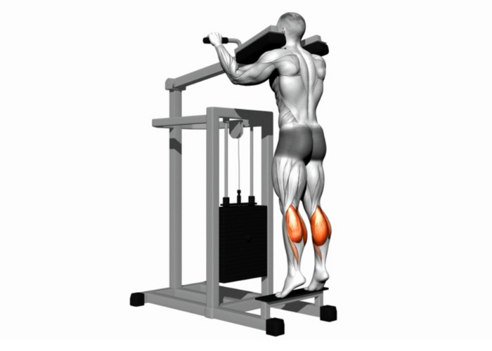 Homme en 3D réalisant un exercice de mollets à la machine, debout, illustrant un exercice de renforcement des muscles des mollets.