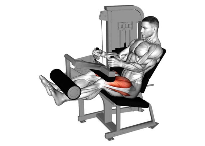Homme en 3D réalisant un leg extension, illustrant un exercice de musculation pour les quadriceps.